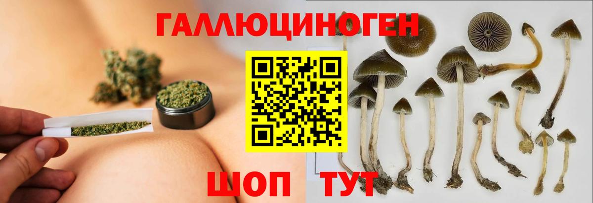 Галлюциногенные грибы GOLDEN TEACHER  цена   Вход с VPN  Краснознаменск  Псилоцибиновые грибы Psilocybine cubensis 